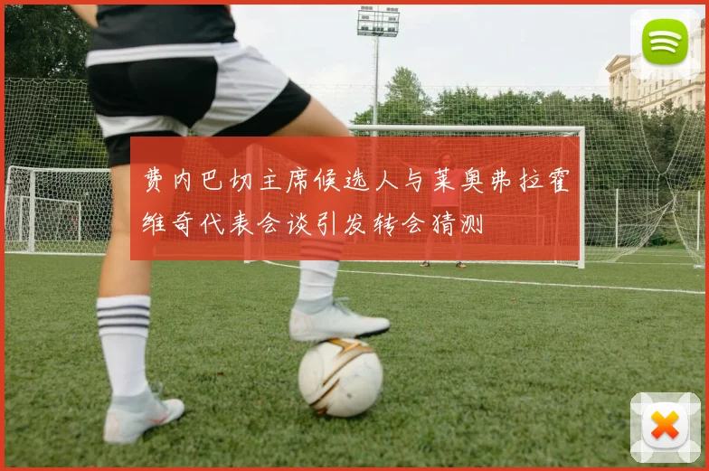 费内巴切主席候选人与莱奥弗拉霍维奇代表会谈引发转会猜测