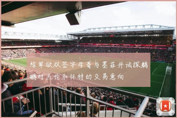 绿军欲双签字母哥与墨菲并试探鹈鹕对杰伦和怀特的交易意向